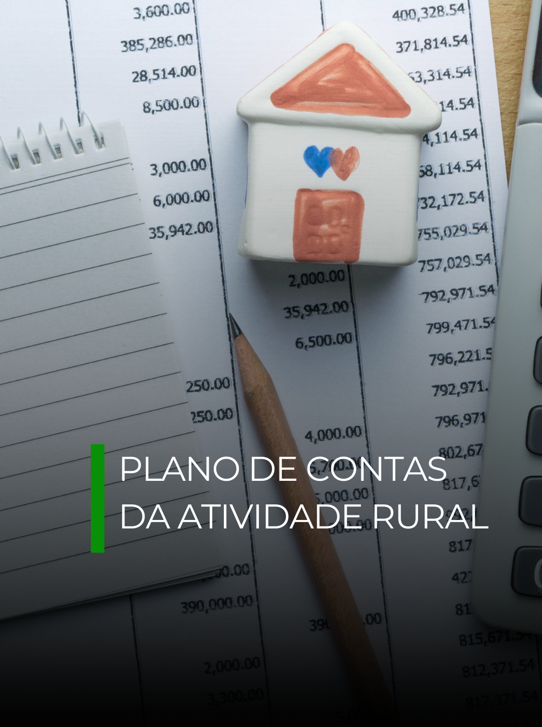 Plano de Contas da Atividade Rural