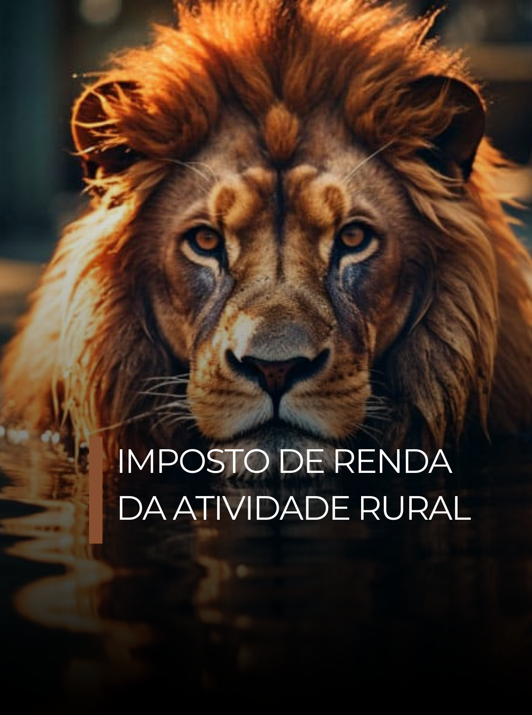 Imposto de Renda do Produtor Rural na Prática