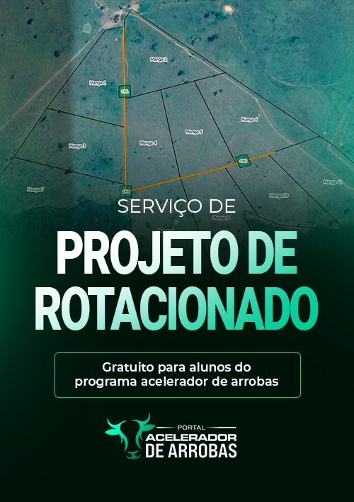 SERVIÇO DE PROJETO DE ROTACIONADO