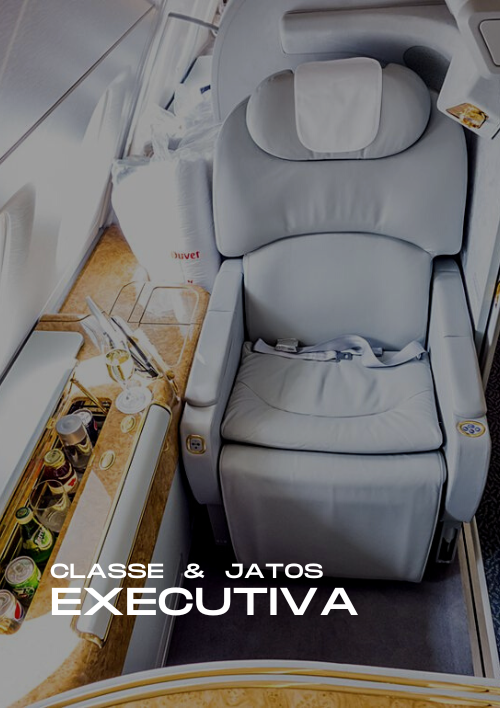 Executiva & Jatinhos & Primeira Classe