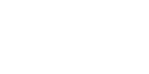 Alacer Academy